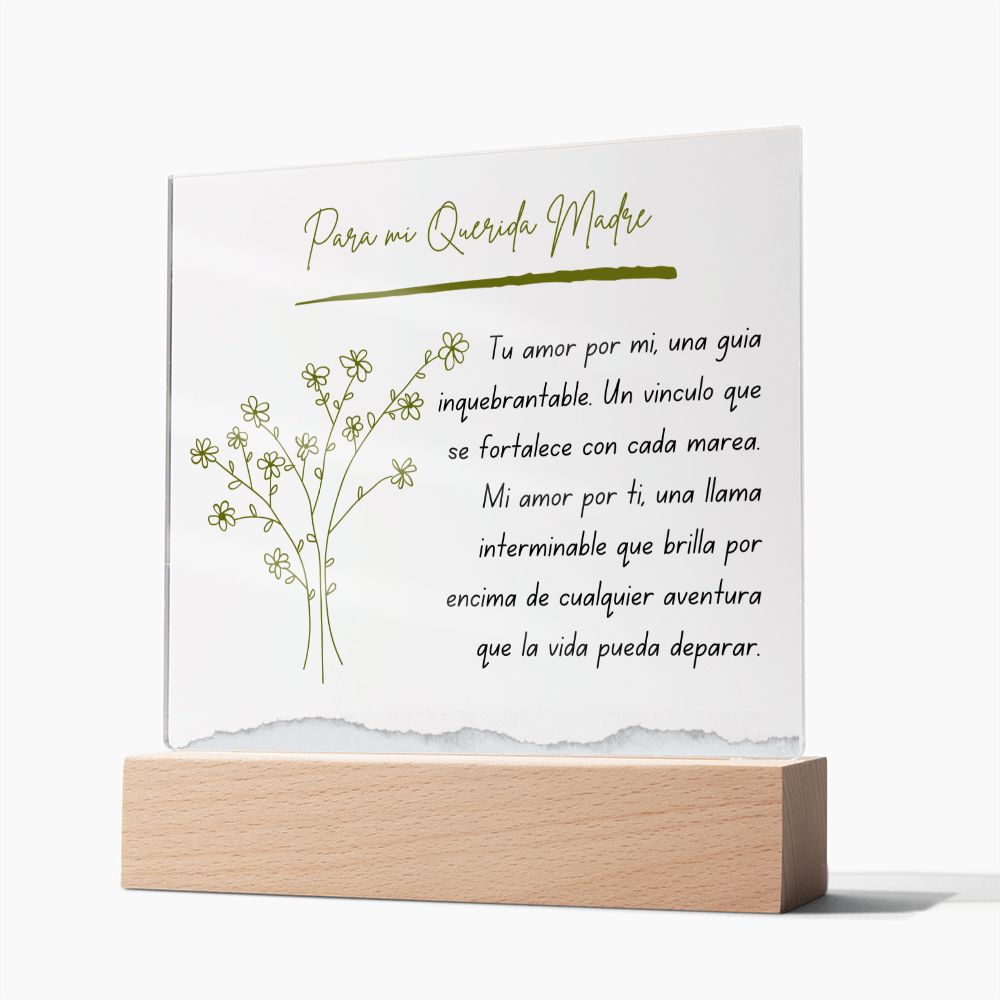 Para Mi Querida Madre Regalo Sentimental Vintage Mother Present Acrylic Plaque