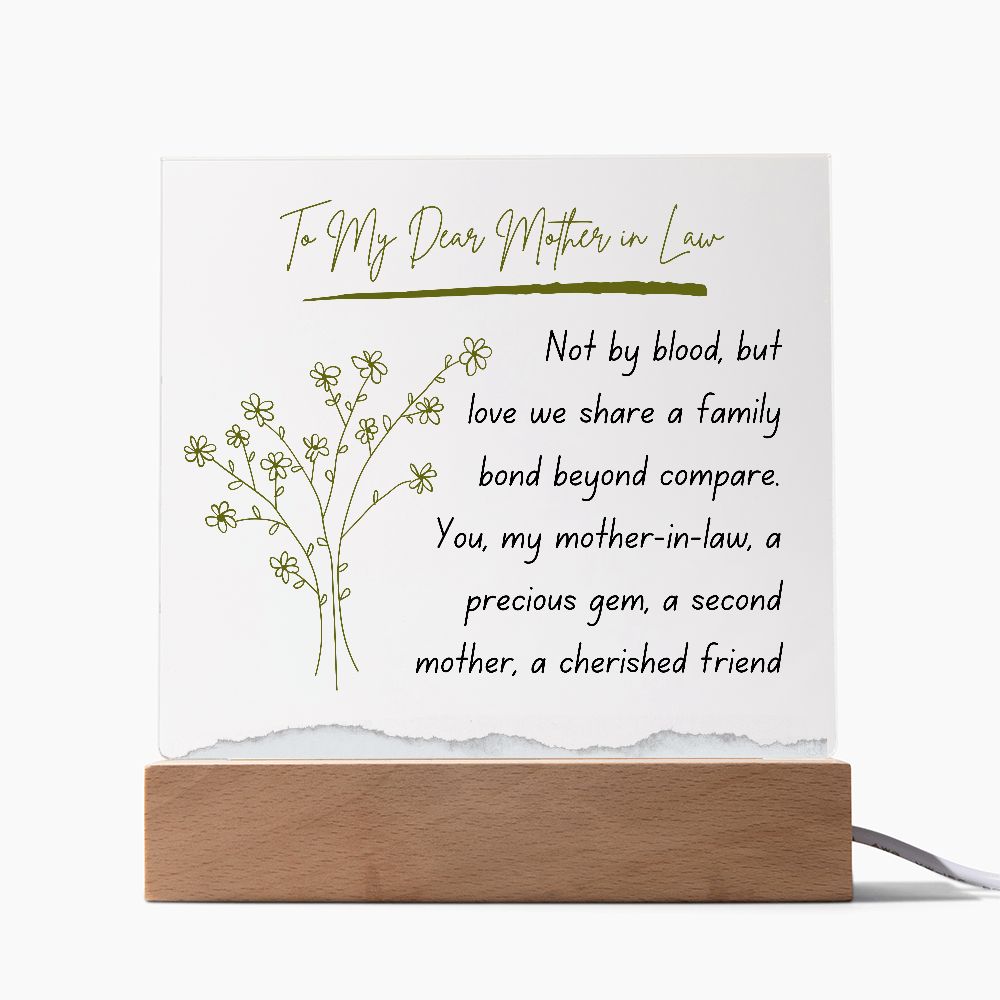Vintage Mother in Law Acrylic Plaque Present