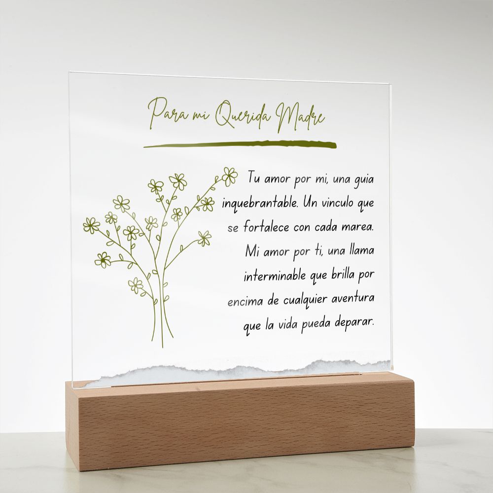 Para Mi Querida Madre Regalo Sentimental Vintage Mother Present Acrylic Plaque