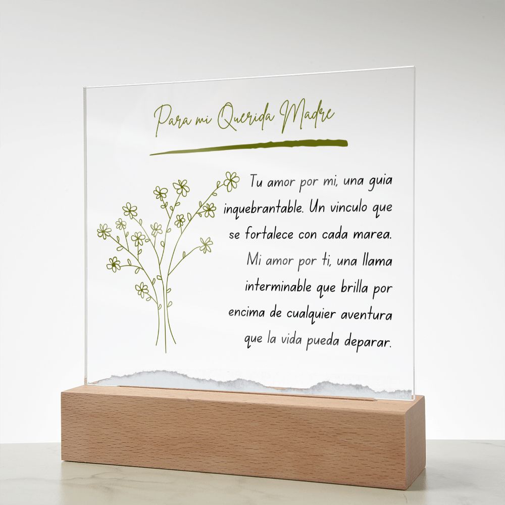 Para Mi Querida Madre Regalo Sentimental Vintage Mother Present Acrylic Plaque