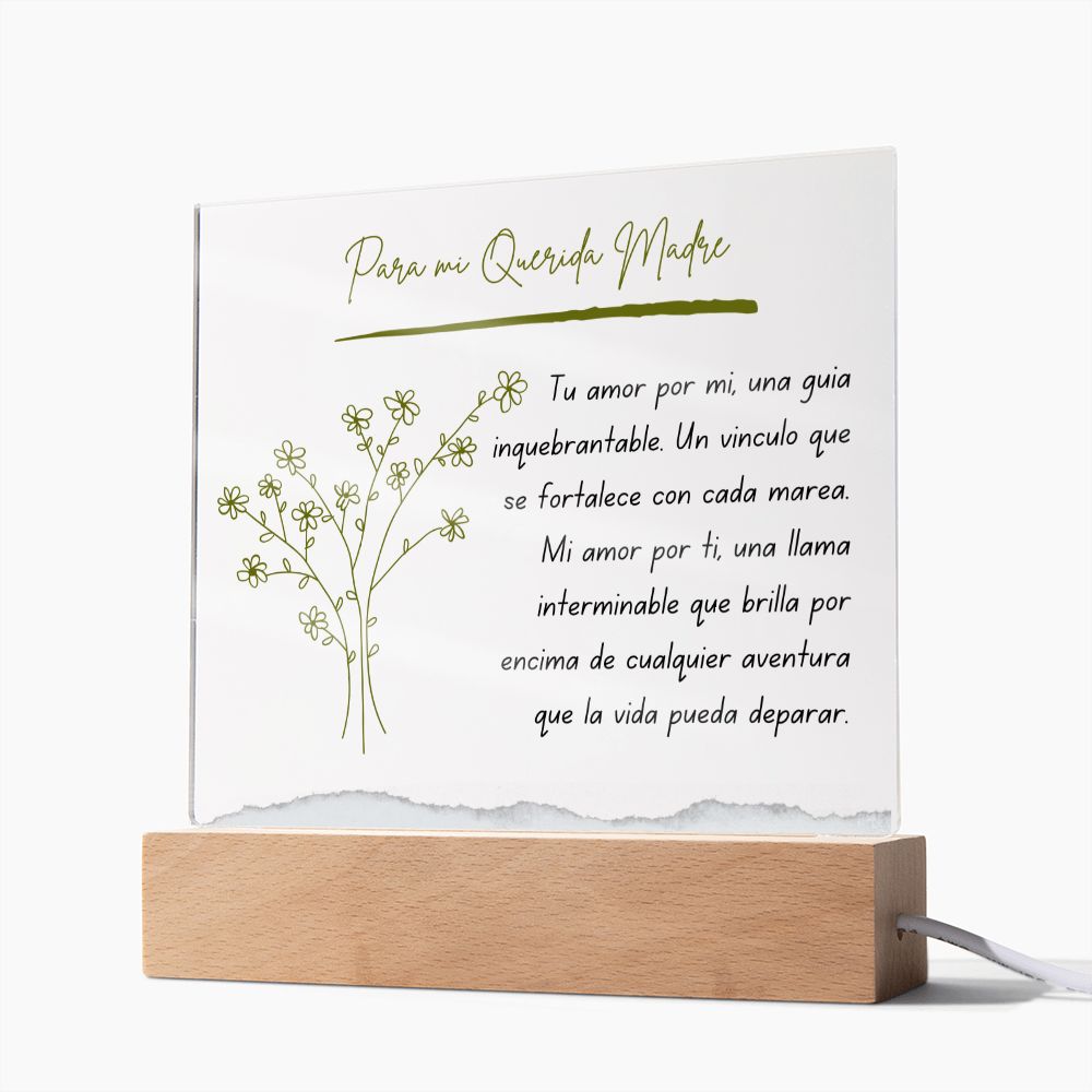 Para Mi Querida Madre Regalo Sentimental Vintage Mother Present Acrylic Plaque