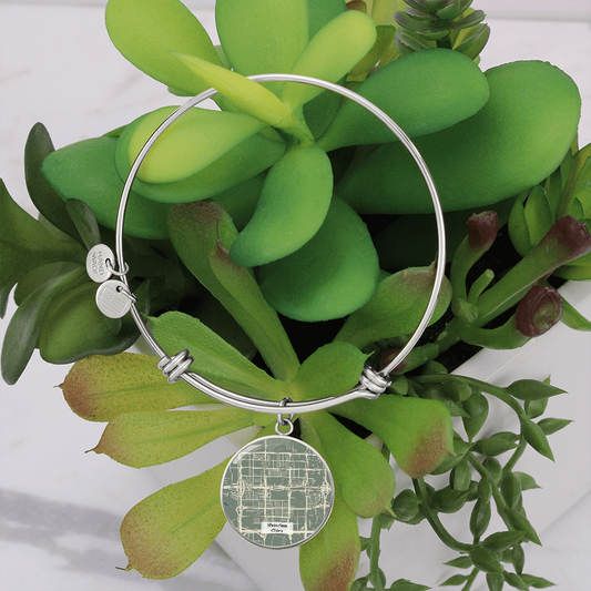 Shenzhen China City Green Map Bracelet Gift